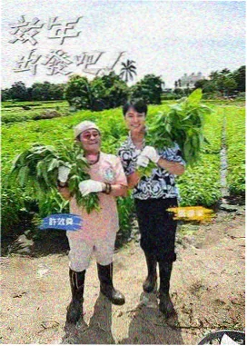 东流影院音乐综艺《声浪现场》海报